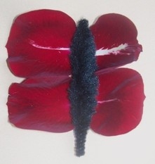 butterfly made from rose petals and pipe cleaner