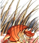 illustration of felini the flea