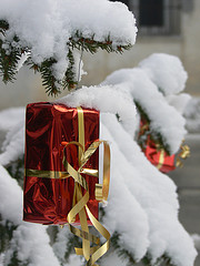 red box with gold ribbon hanging from snow-covered spruce tree
