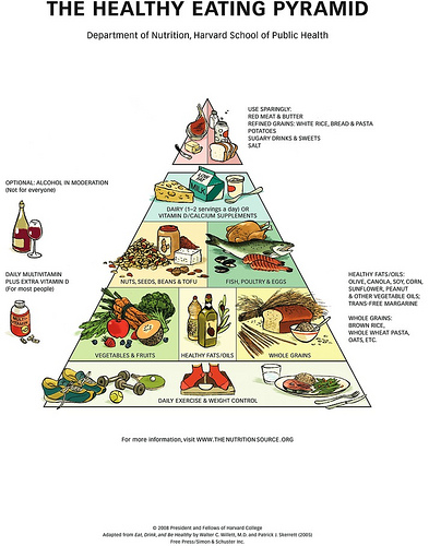 US Government food pyramid, recommended servings