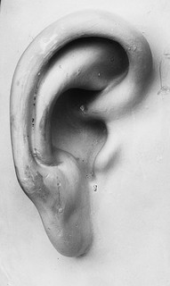 large ear