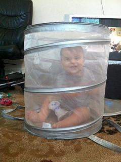 happy baby in mesh container (he can get out)